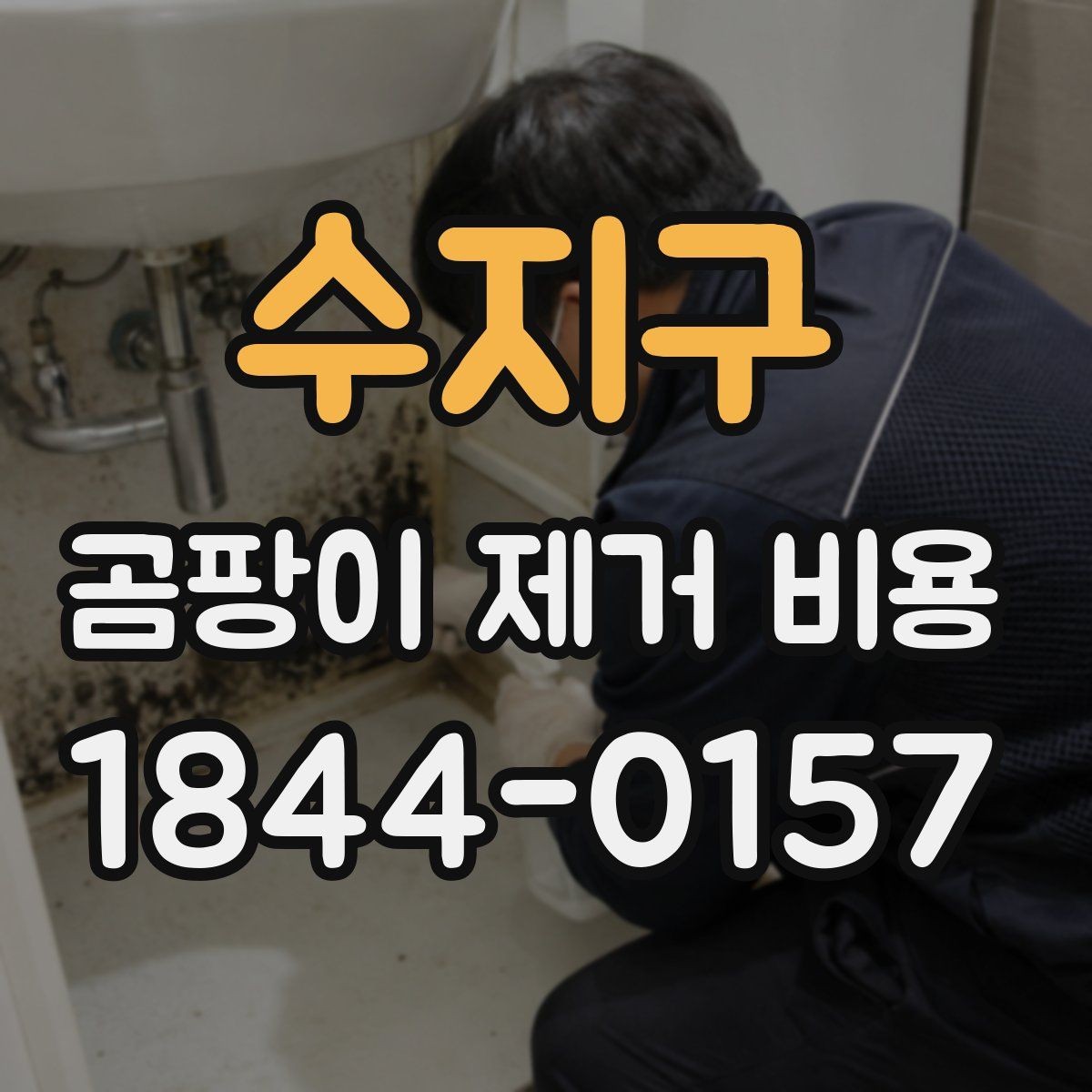 수지구 곰팡이 제거 비용 재발을 막으려면 어떤 점을 체크할까