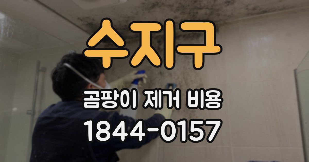 수지구 곰팡이 제거 비용