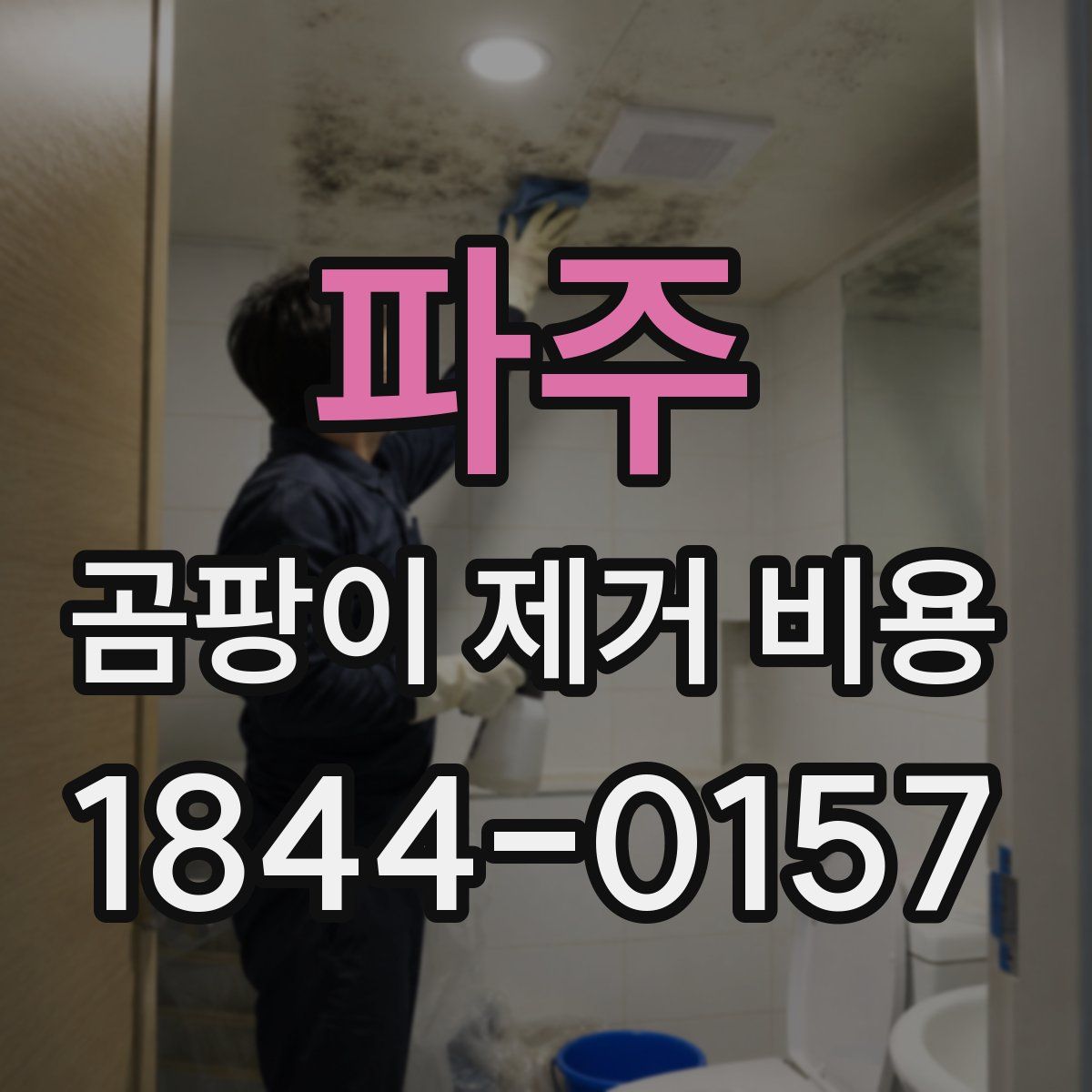 파주 곰팡이 제거 비용