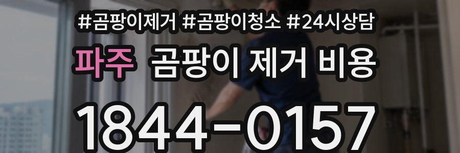 파주 곰팡이 제거 비용
