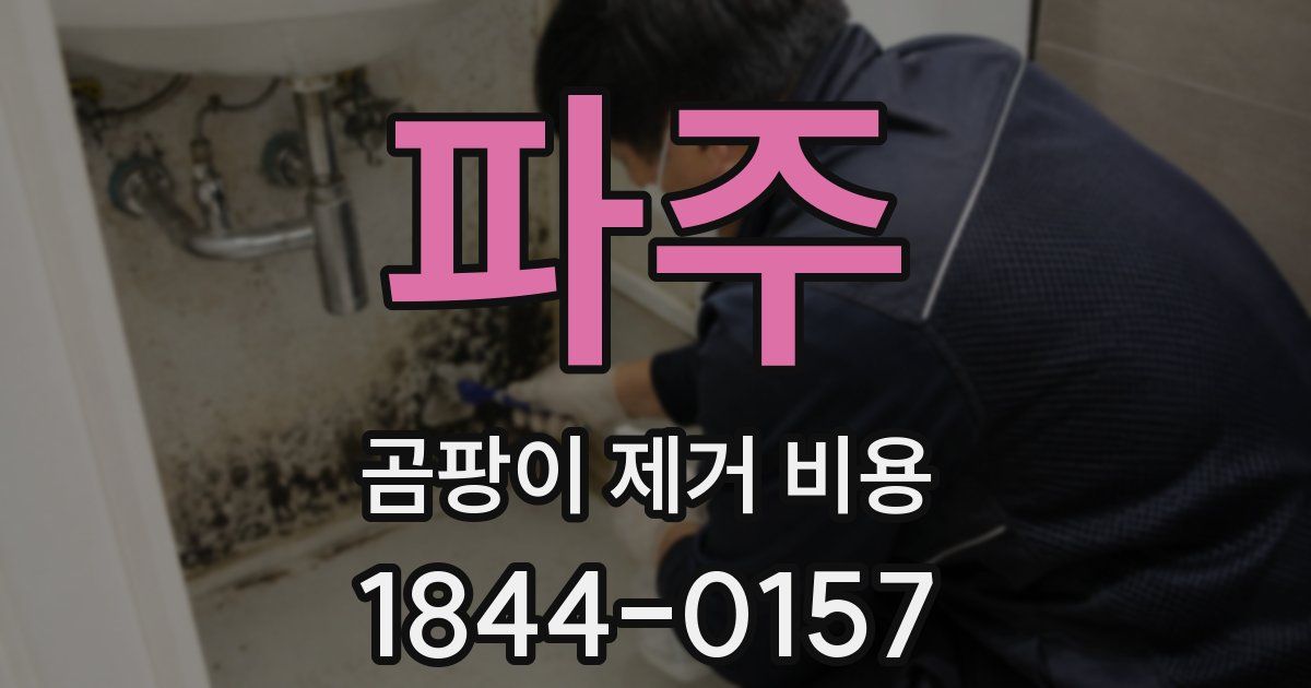 파주 곰팡이 제거 비용