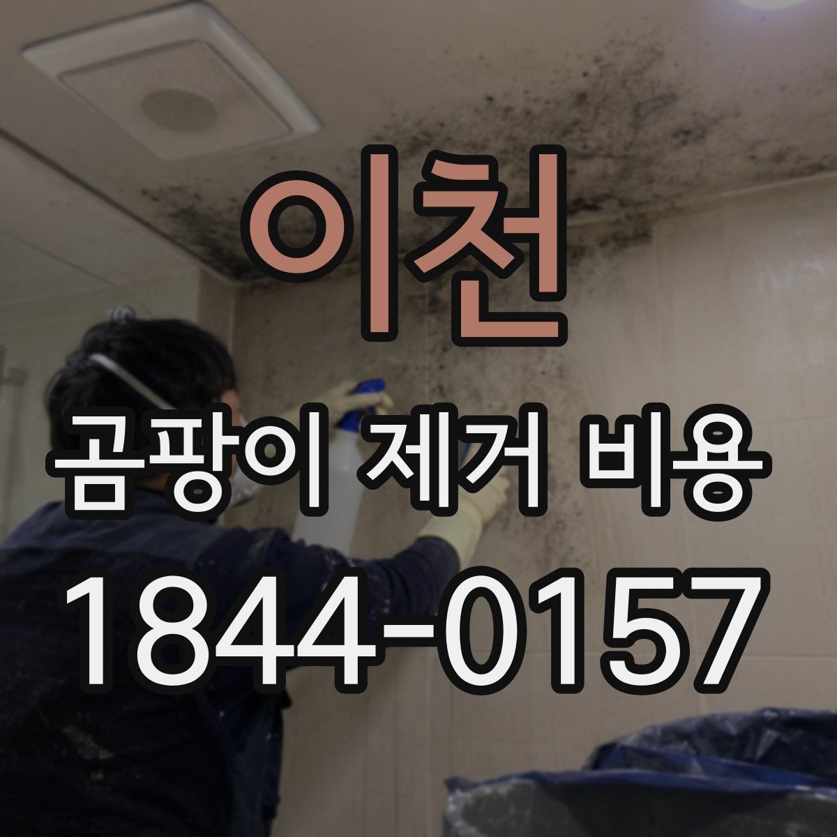 이천 곰팡이 제거 비용 사진 견적보다 방문 견적이 필요한 이유