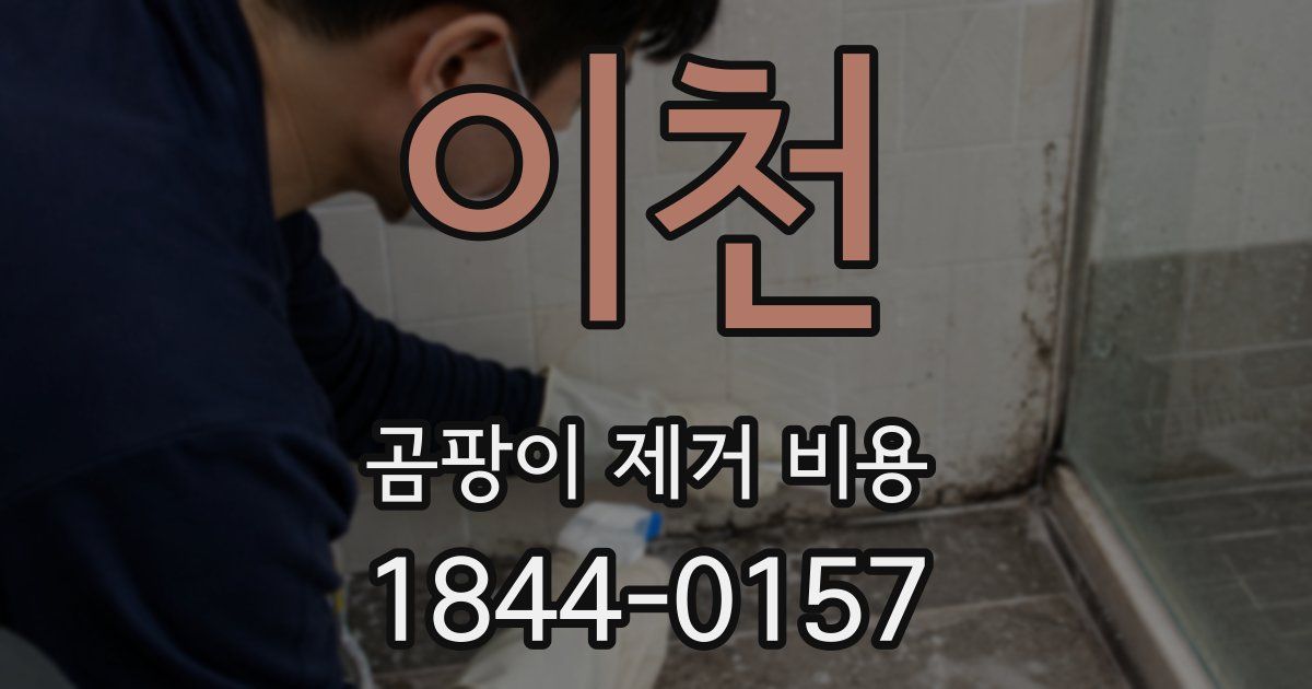 이천 곰팡이 제거 비용