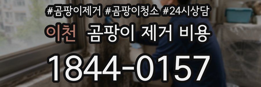 이천 곰팡이 제거 비용
