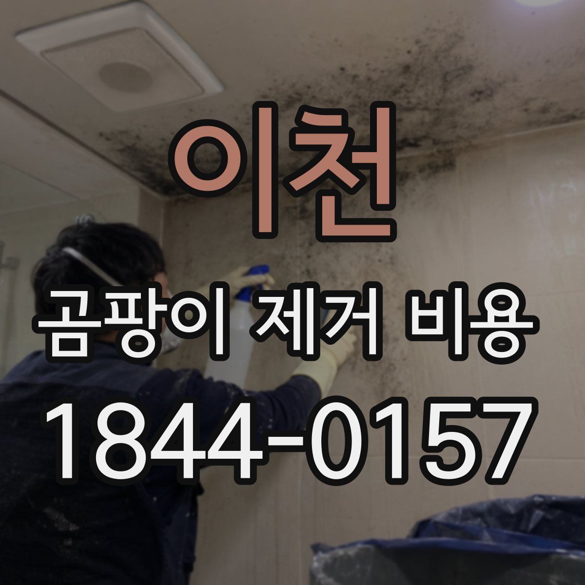 이천 곰팡이 제거 비용