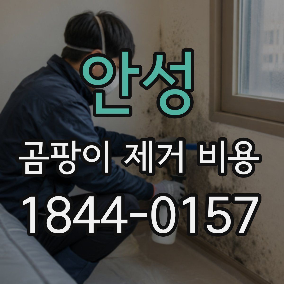안성 곰팡이 제거 비용