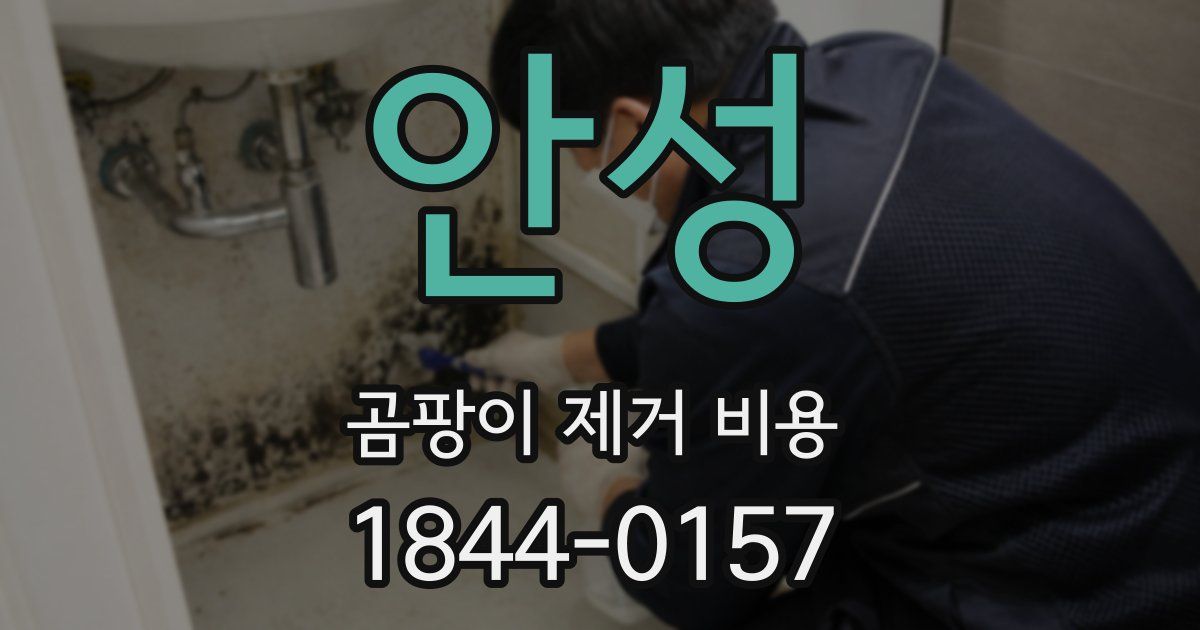 안성 곰팡이 제거 비용
