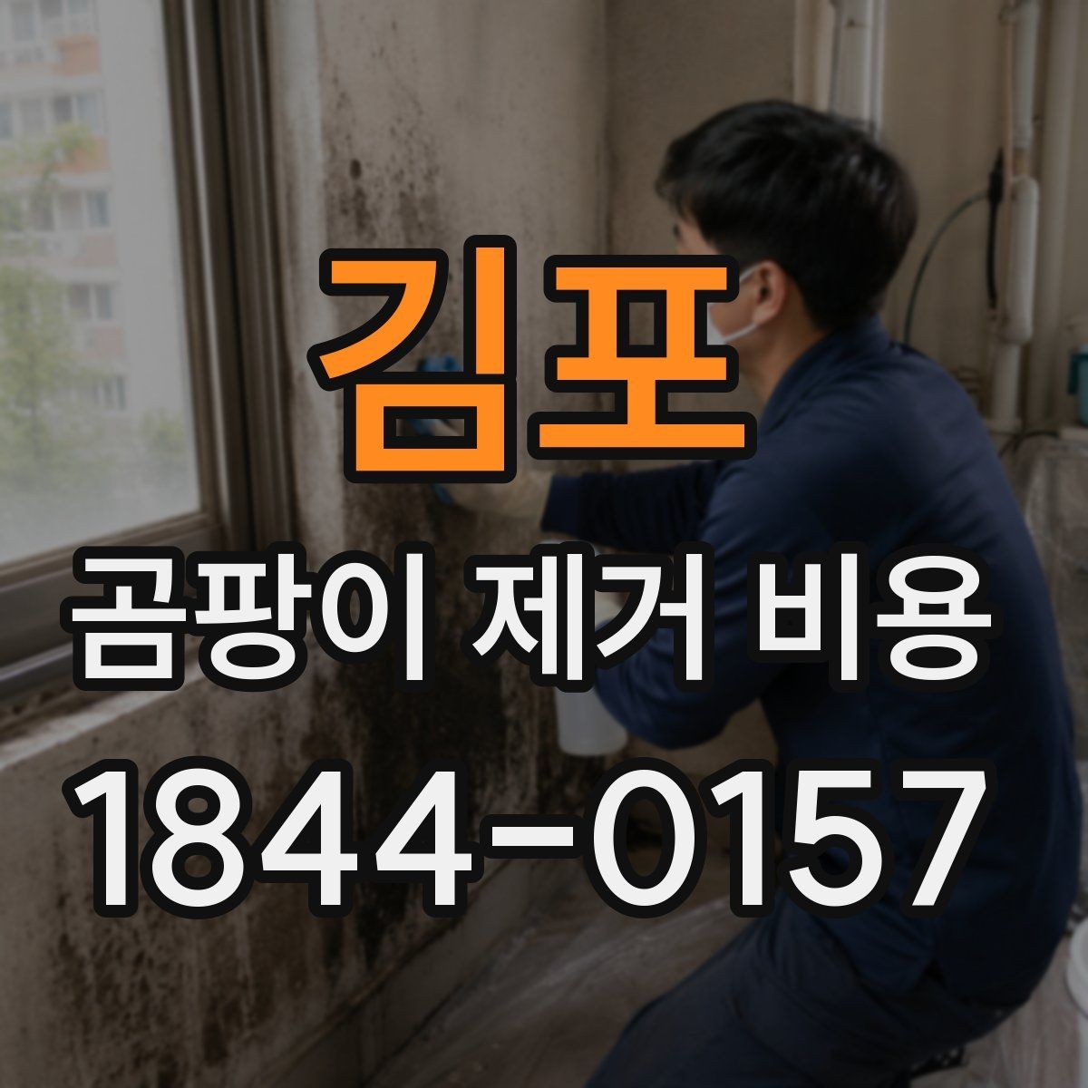 김포 곰팡이 제거 비용 주거와 상가에서 달라지는 작업 준비