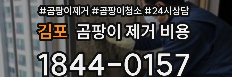 김포 곰팡이 제거 비용