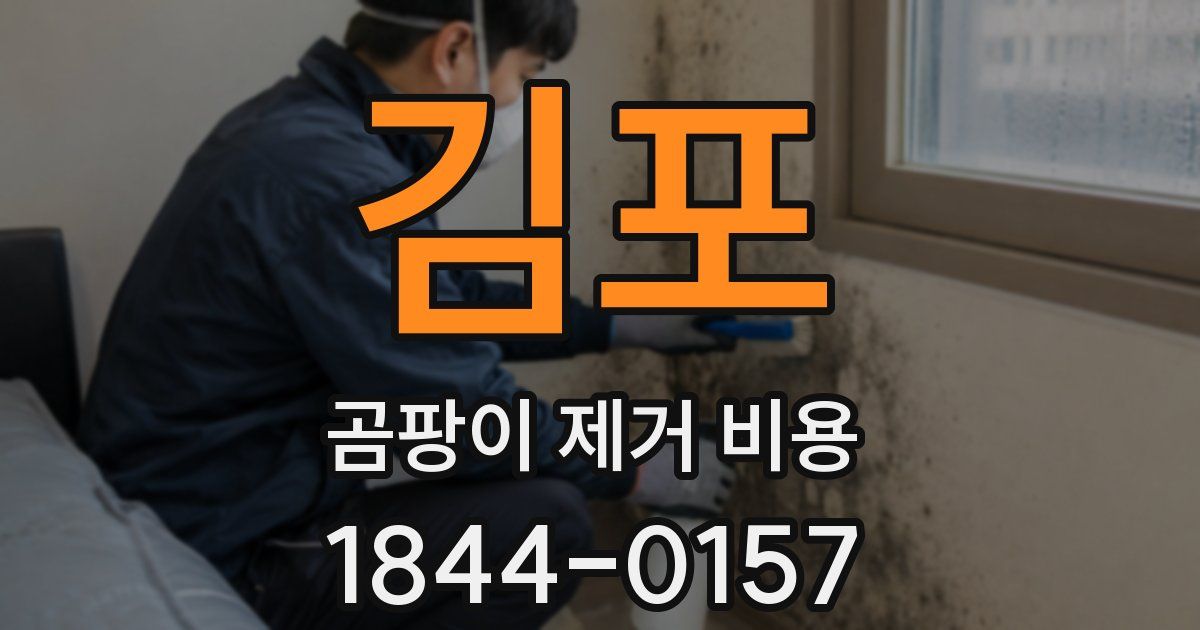 김포 곰팡이 제거 비용
