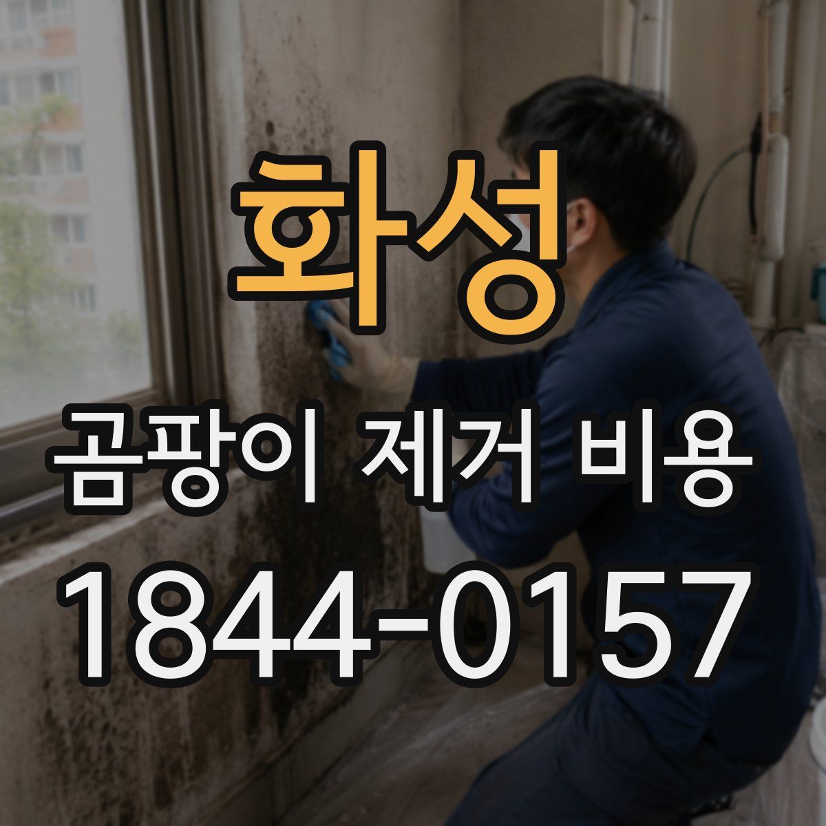 화성 곰팡이 제거 비용