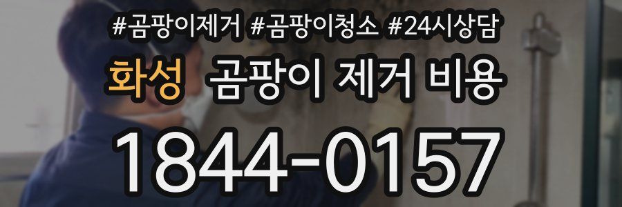 화성 곰팡이 제거 비용