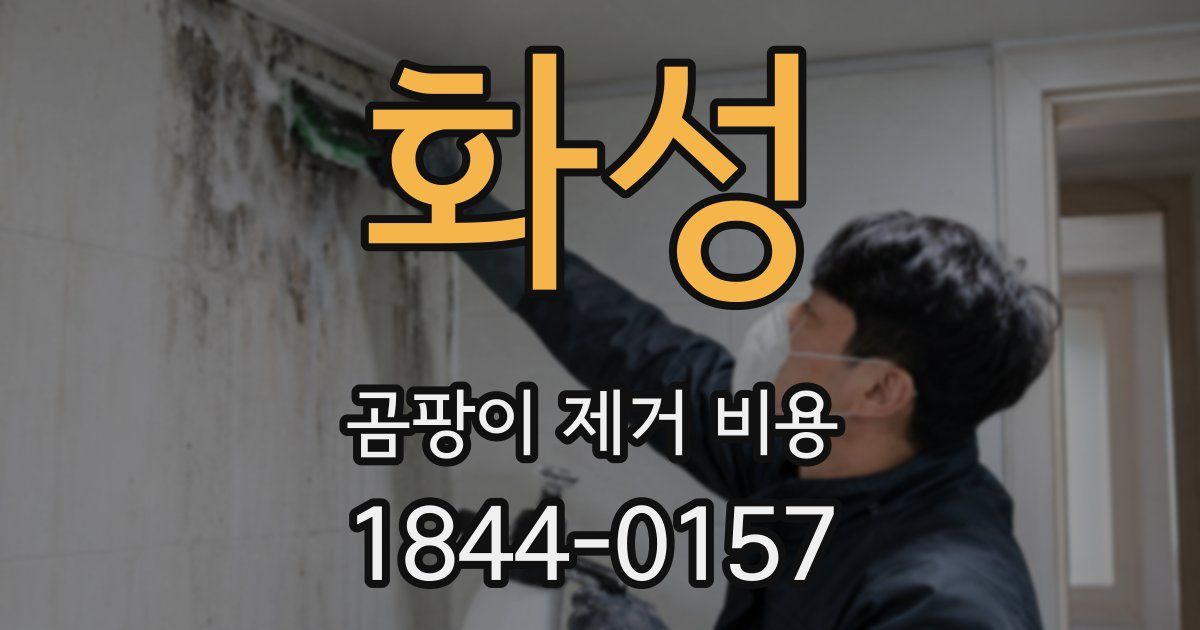 화성 곰팡이 제거 비용