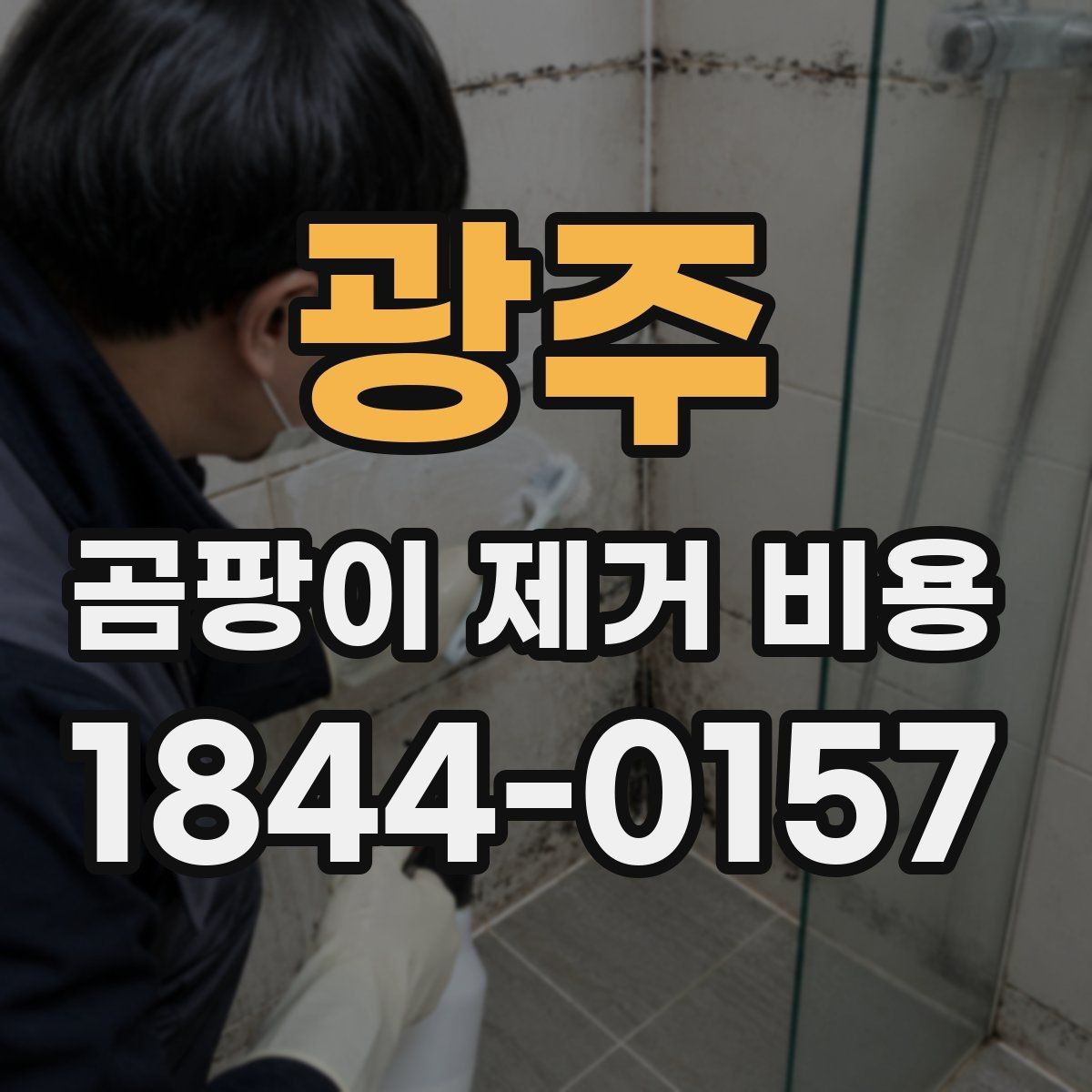광주 곰팡이 제거 비용 면적 대비 단가를 볼 때 확인할 기준