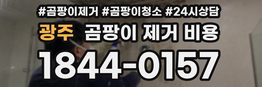 광주 곰팡이 제거 비용