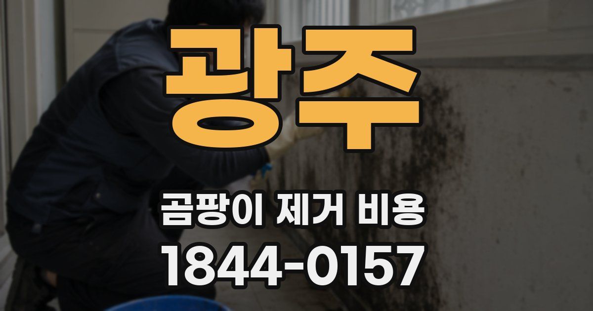 광주 곰팡이 제거 비용
