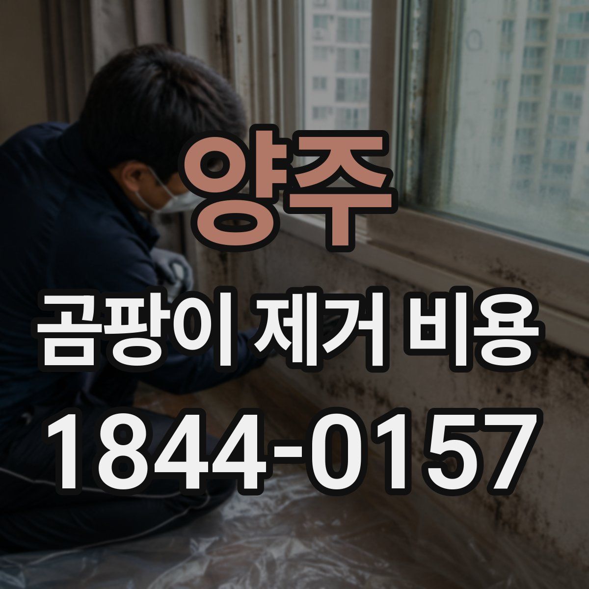 양주 곰팡이 제거 비용