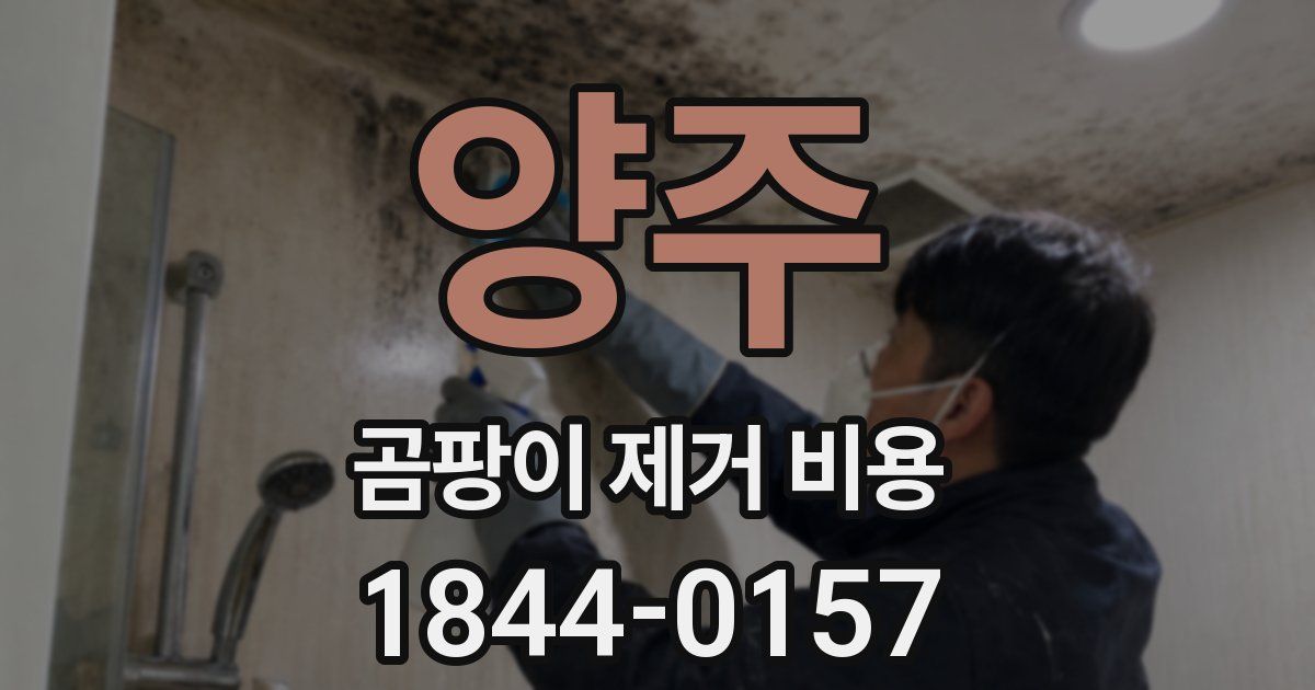 양주 곰팡이 제거 비용