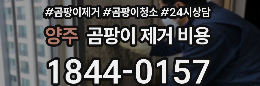 양주 곰팡이 제거 비용