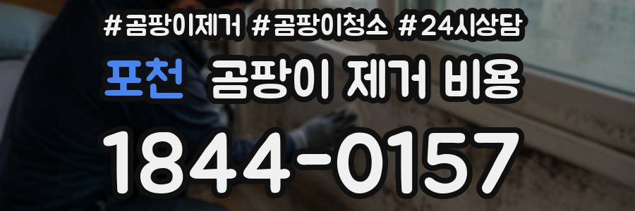 포천 곰팡이 제거 비용