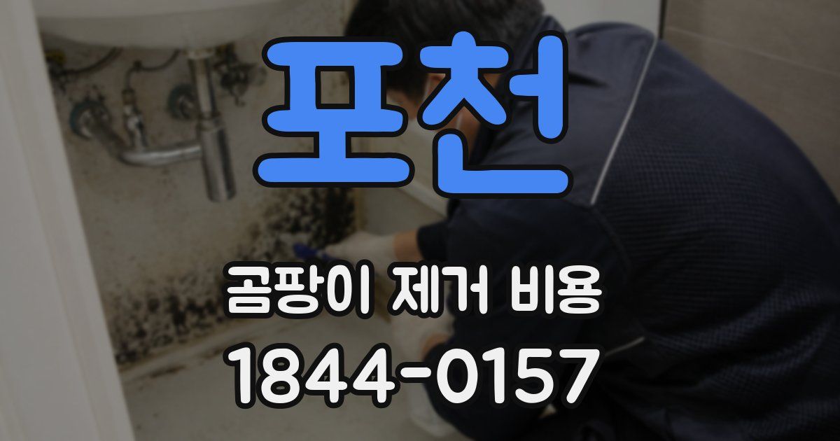 포천 곰팡이 제거 비용