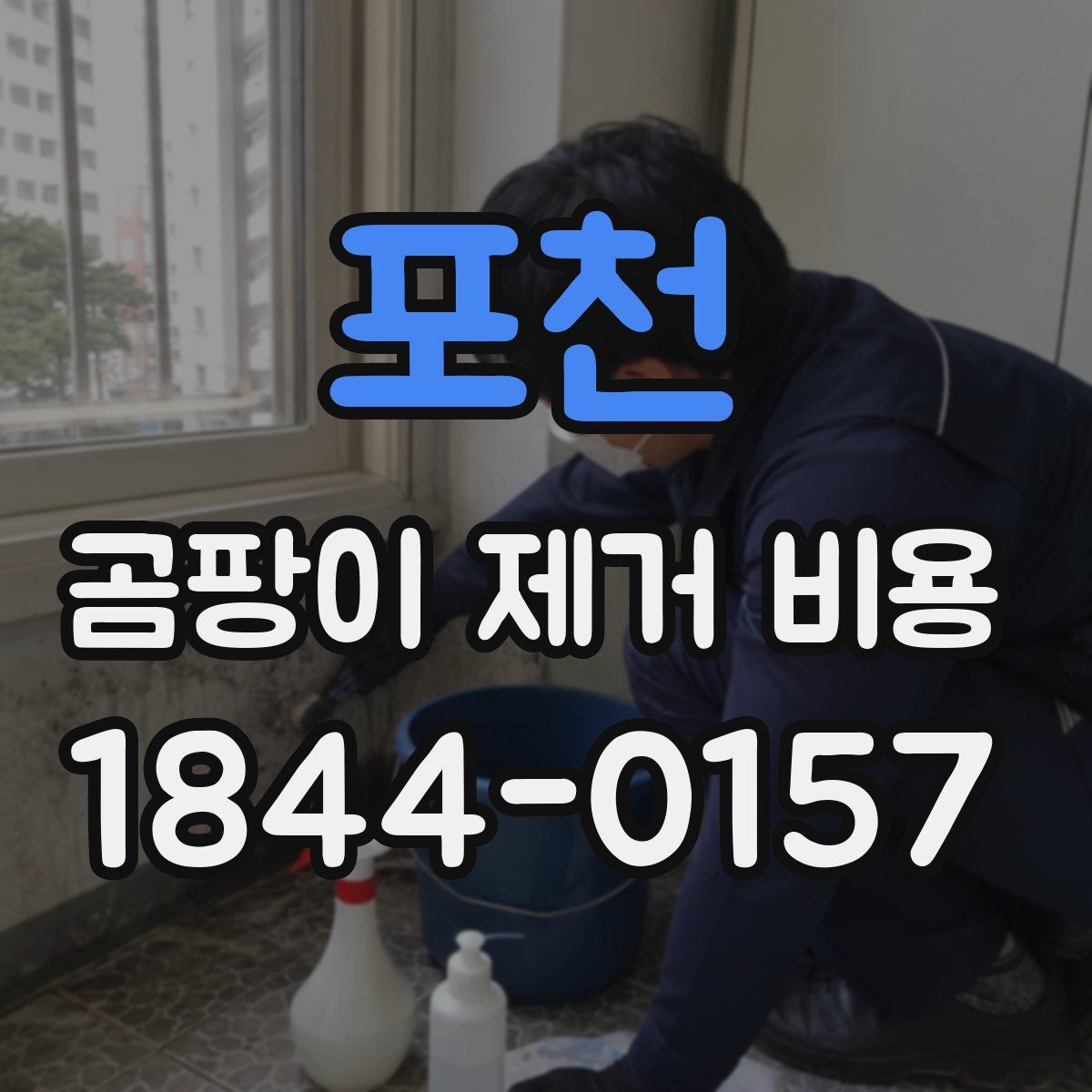 포천 곰팡이 제거 비용