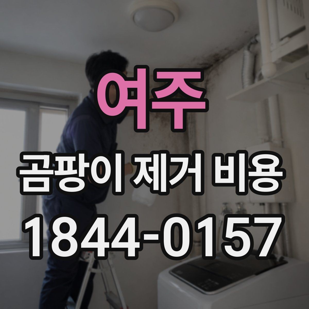 여주 곰팡이 제거 비용 욕실 천장 오염이 넓을 때 살펴볼 항목