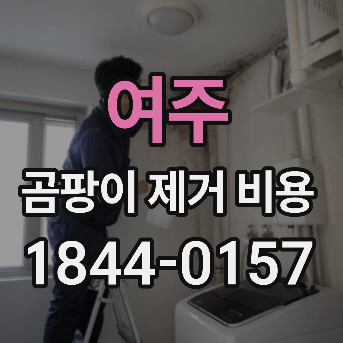 여주 곰팡이 제거 비용