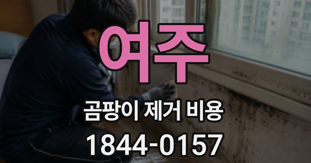 여주 곰팡이 제거 비용