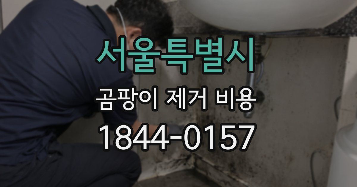 서울특별시 곰팡이 제거 비용