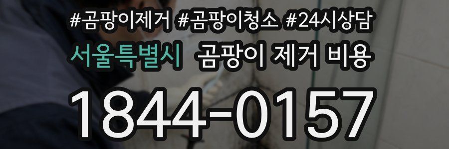 서울특별시 곰팡이 제거 비용