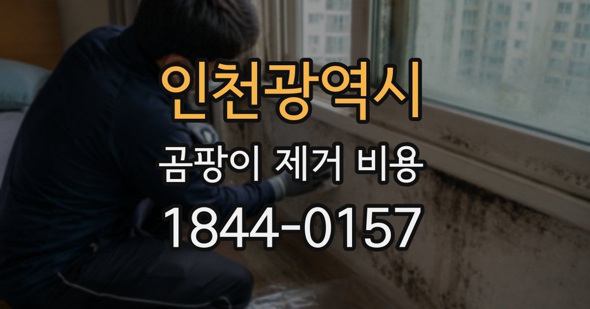 인천광역시 곰팡이 제거 비용