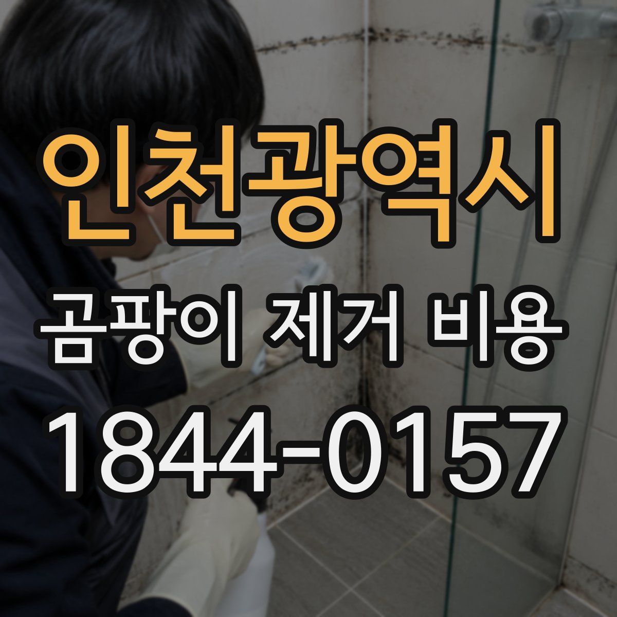 인천광역시 곰팡이 제거 비용