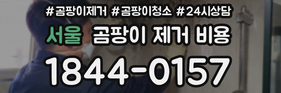 서울 곰팡이 제거 비용