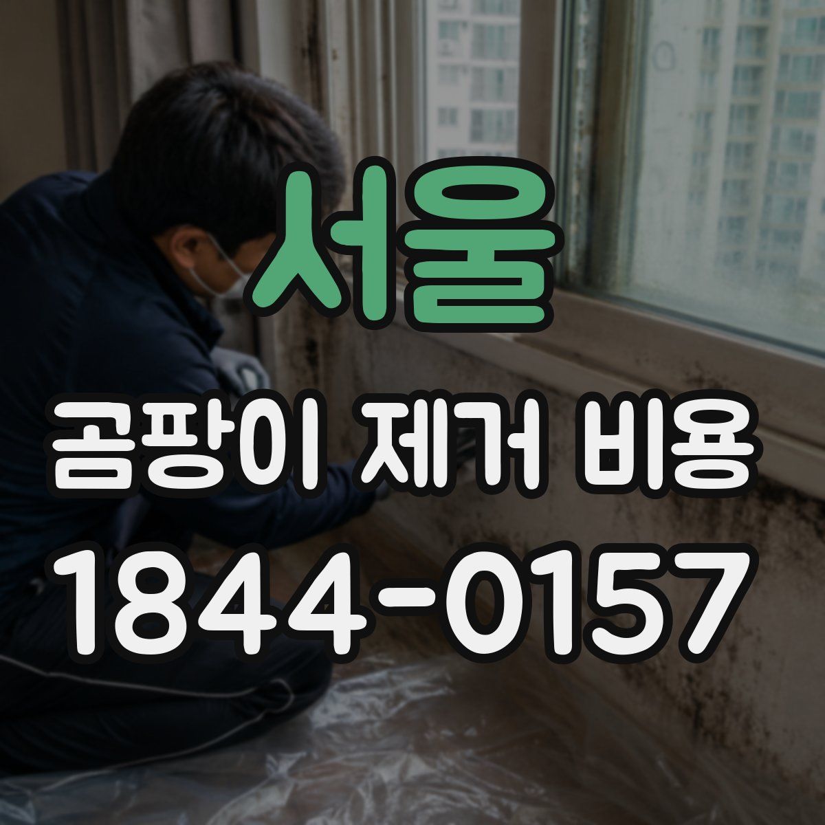 서울 곰팡이 제거 비용