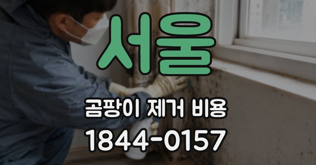 서울 곰팡이 제거 비용
