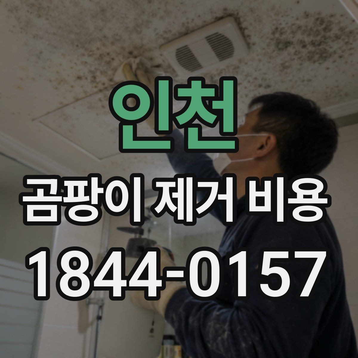 인천 곰팡이 제거 비용 실리콘·줄눈 교체 포함 시 확인할 공정