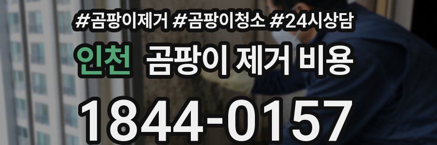 인천 곰팡이 제거 비용