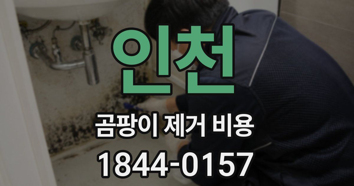 인천 곰팡이 제거 비용
