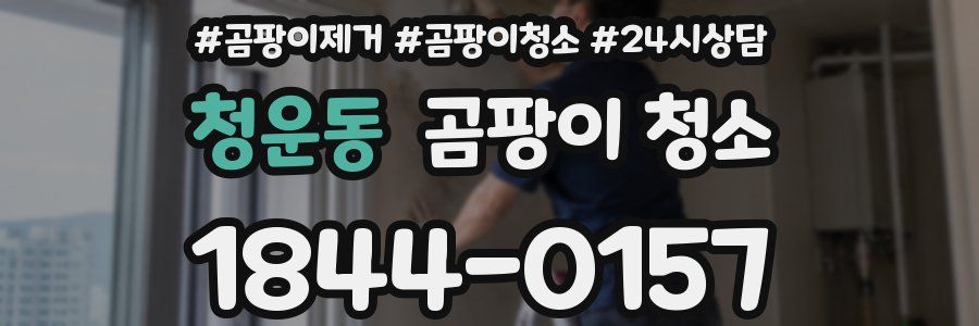 청운동 곰팡이 청소