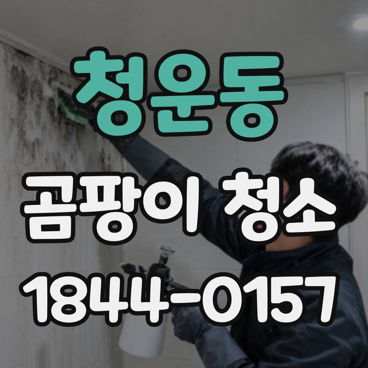 청운동 곰팡이 청소