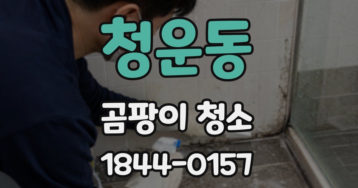 청운동 곰팡이 청소
