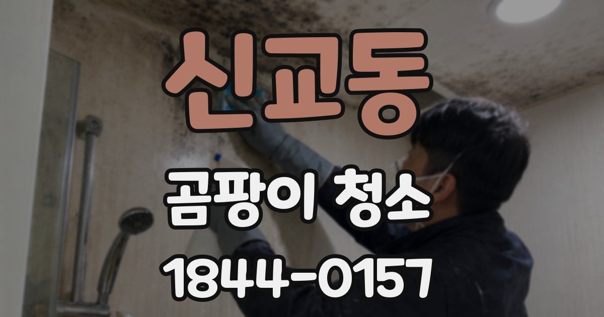 신교동 곰팡이 청소