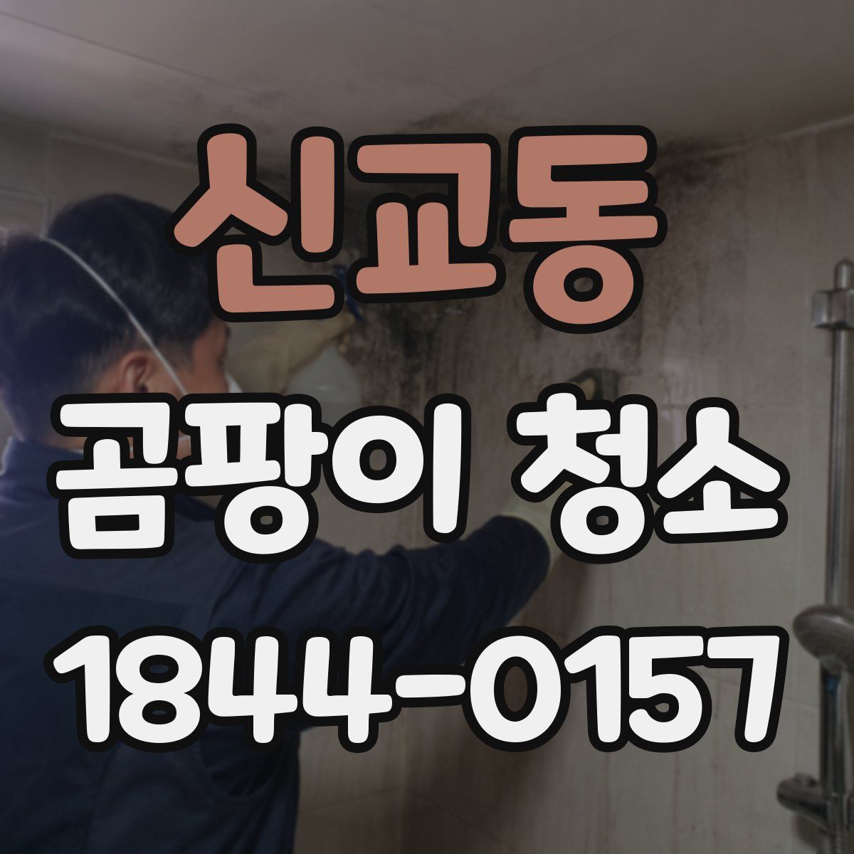 신교동 곰팡이 청소