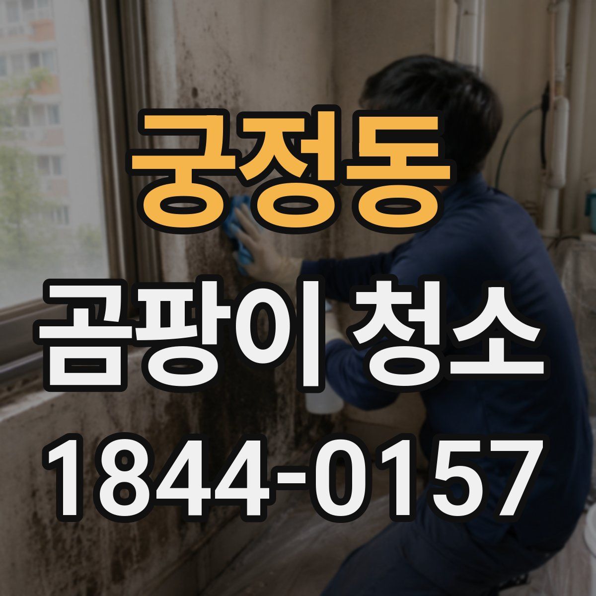 궁정동 곰팡이 청소