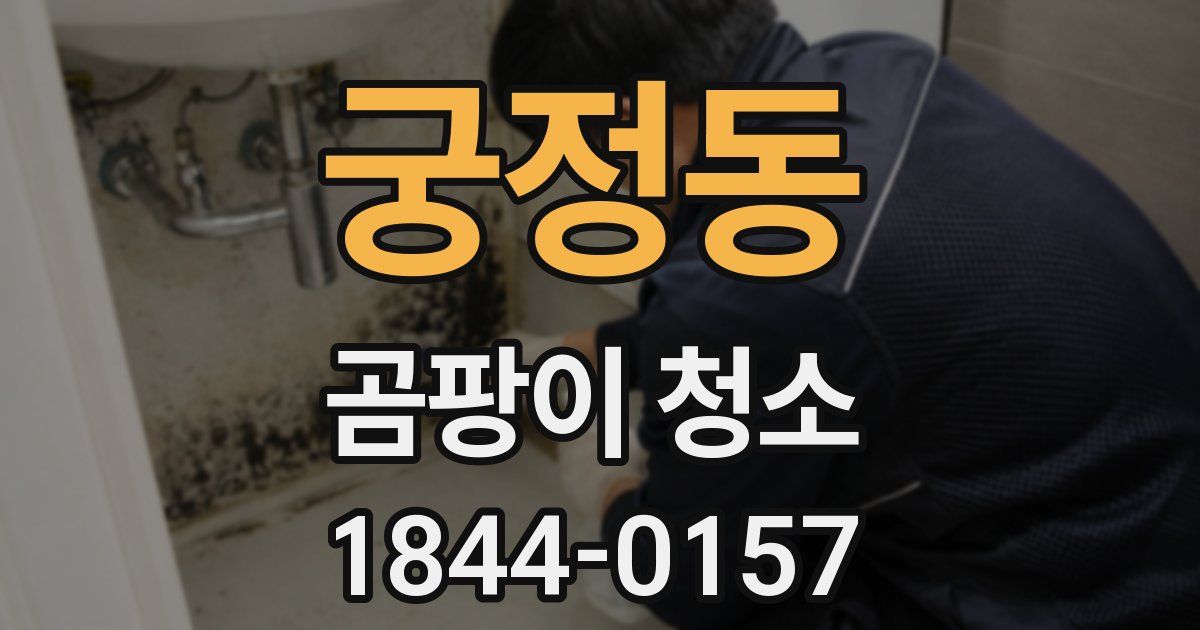 궁정동 곰팡이 청소