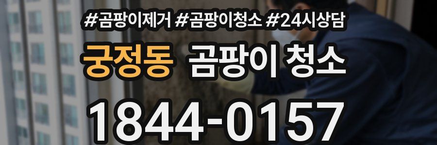 궁정동 곰팡이 청소
