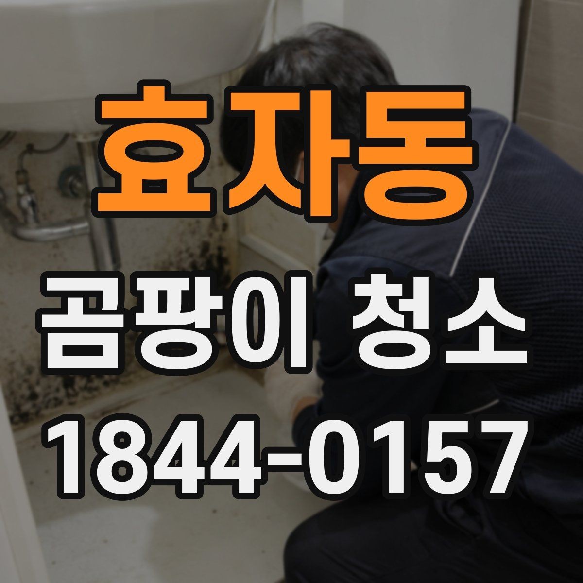 효자동 곰팡이 청소 실내 습기와 오염을 함께 관리하는 방법