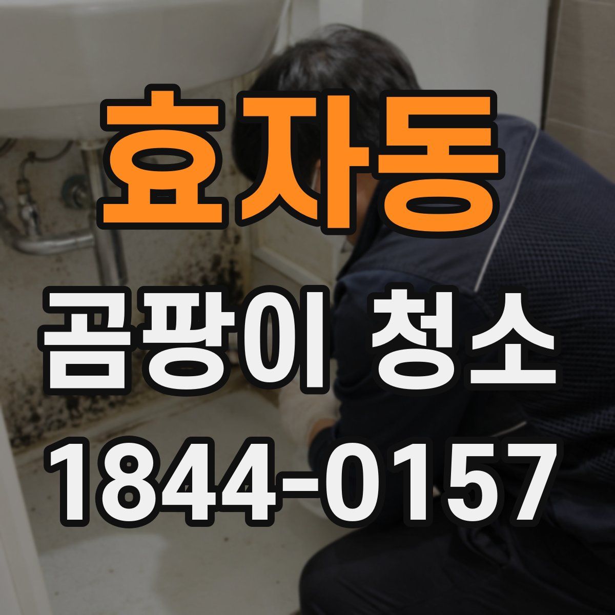 효자동 곰팡이 청소