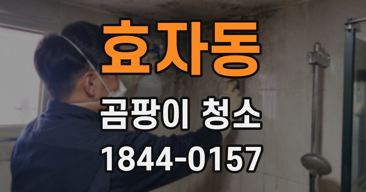 효자동 곰팡이 청소